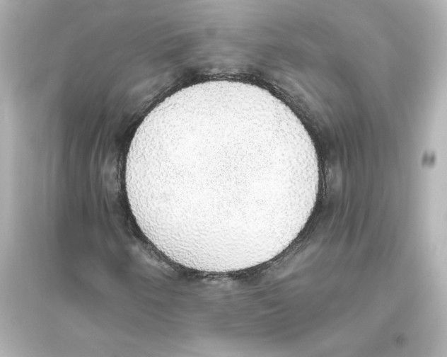 X0000093621250200711121228