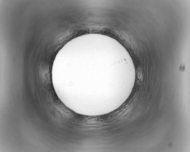 X0000093621252200711121228