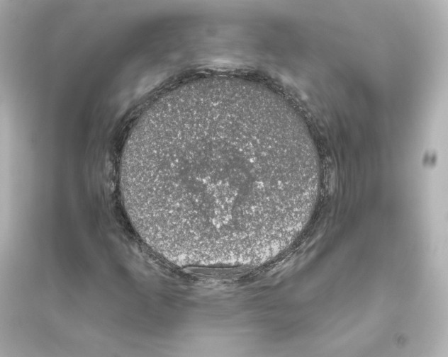 X0000093621253200711121228