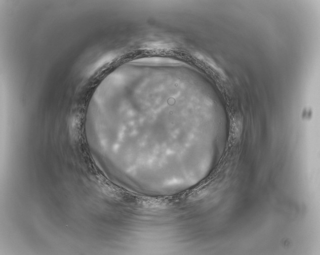 X0000093621254200711121227