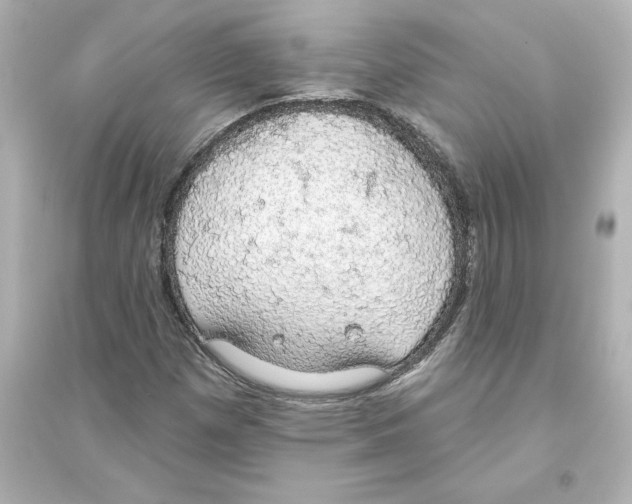 X0000093621257200711121227