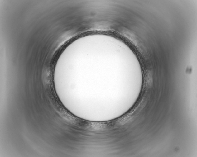 X0000093621258200711121227