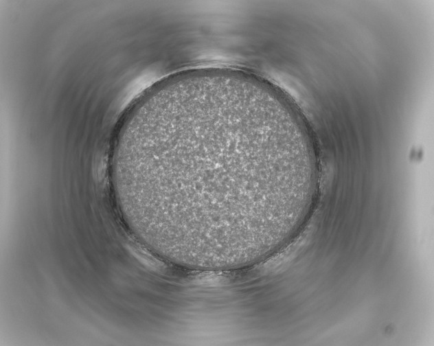 X0000093621259200711121227