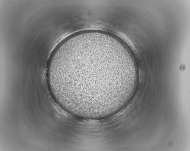 X0000093621260200711121227