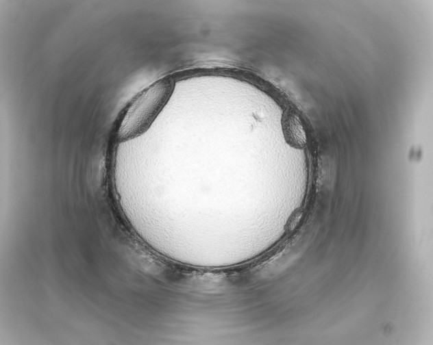 X0000093621261200711121227