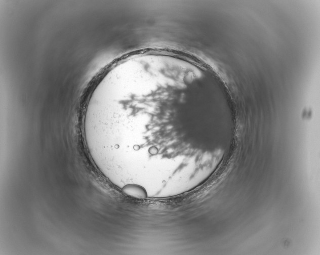 X0000093621263200711121227