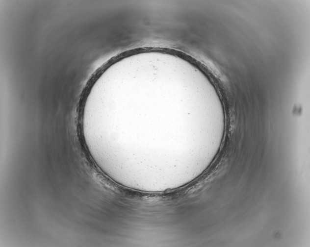 X0000093621264200711121227