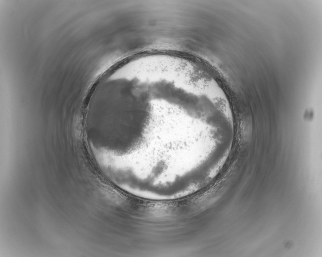 X0000093621266200711121227