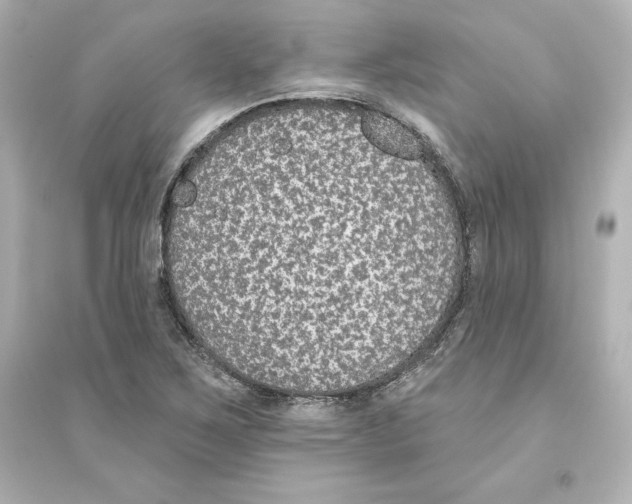 X0000093621267200711121227