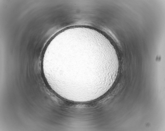 X0000093621268200711121227