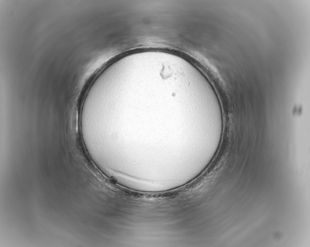 X0000093621269200711121227