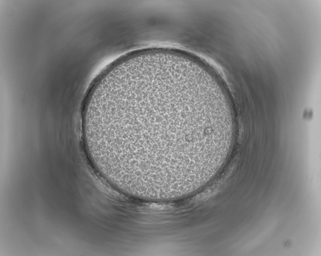 X0000093621271200711121227