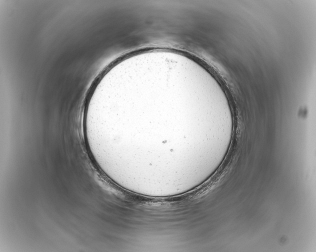 X0000093621272200711121227