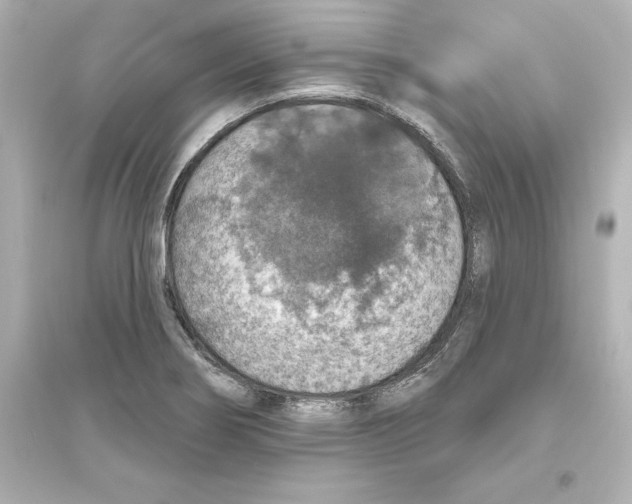 X0000093621274200711121227