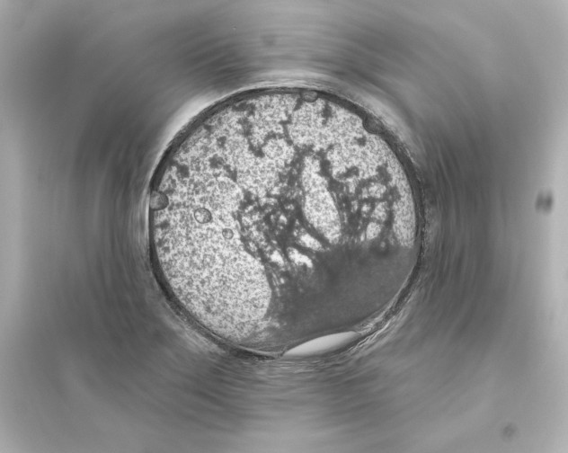 X0000093621275200711121227