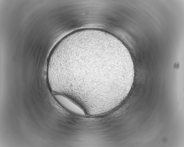 X0000093621276200711121227