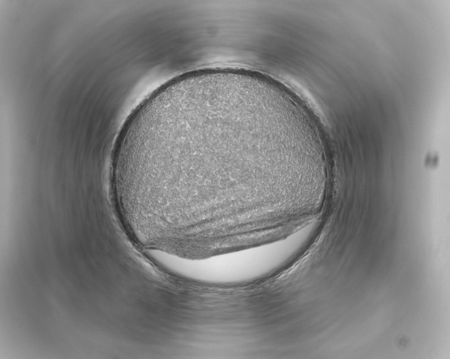 X0000093621277200711121227