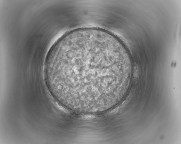 X0000093621278200711121227