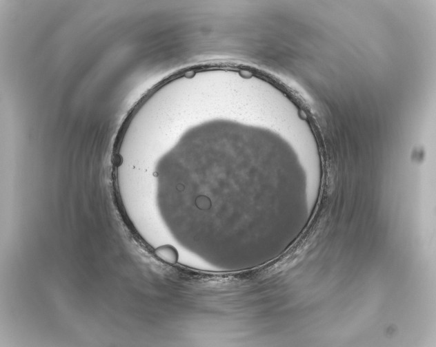 X0000093621279200711121227