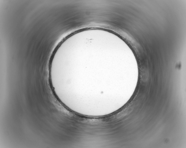 X0000093621280200711121227