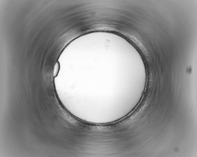 X0000093621281200711121227