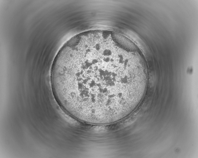 X0000093621283200711121227