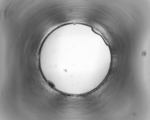 X0000093621284200711121227