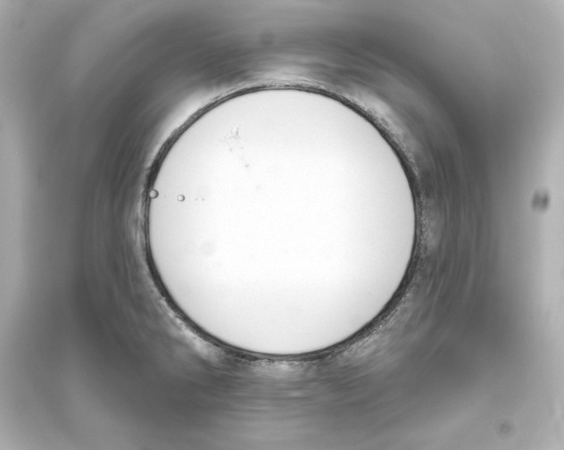 X0000093621286200711121227