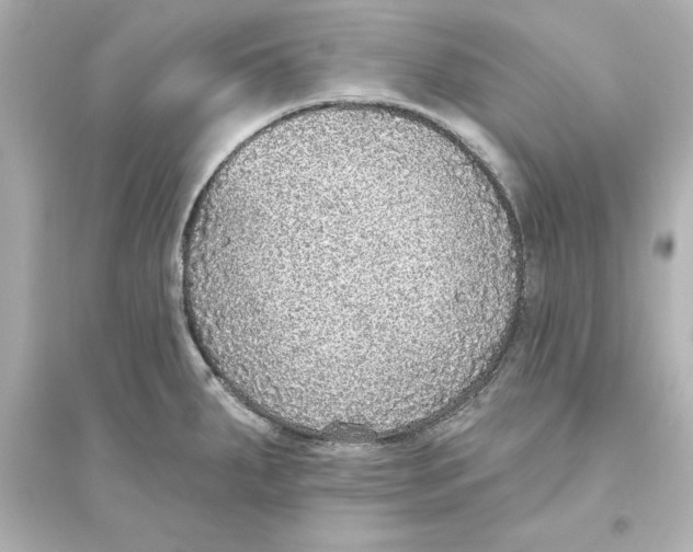 X0000093621287200711121227