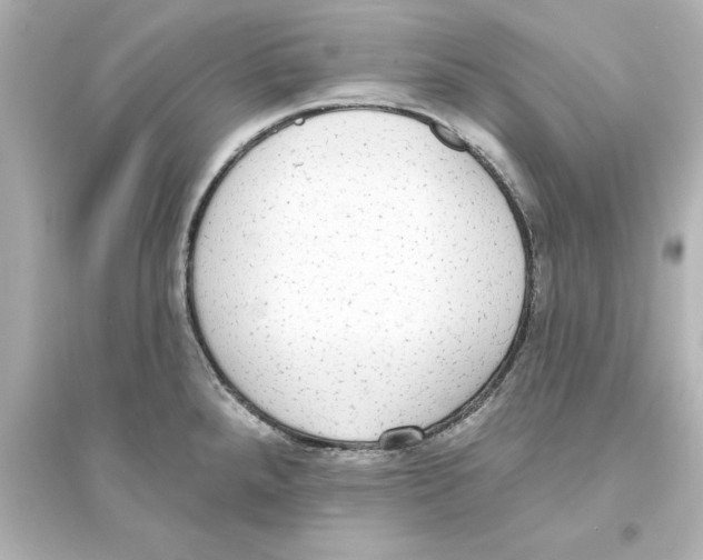 X0000093621288200711121227