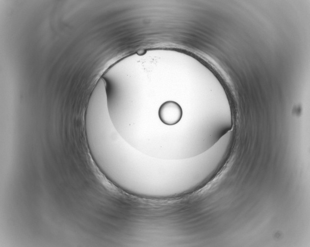 X0000093621289200711121227