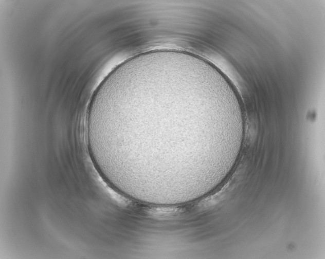 X0000093621290200711121227