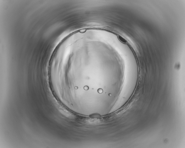 X0000093621291200711121227