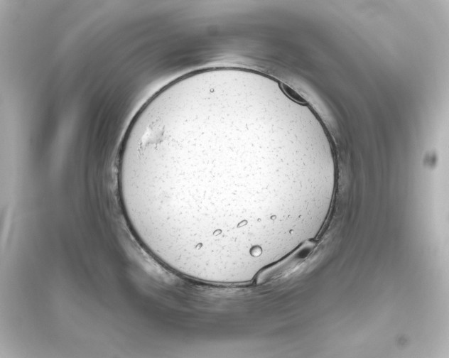 X0000093621292200711121227