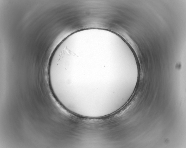 X0000093621293200711121227