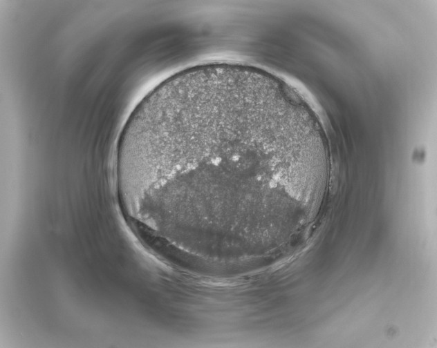 X0000093621295200711121227