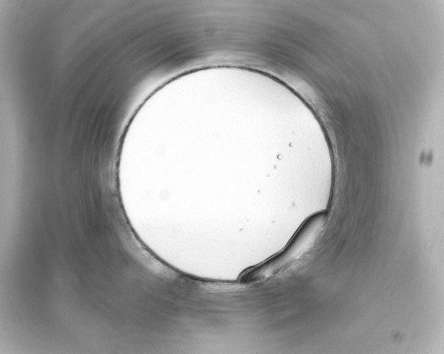 X0000093621296200711121227