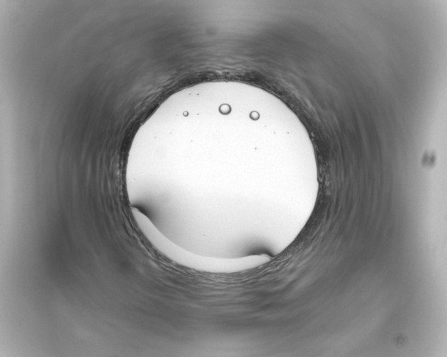 X0000093621298200711121226