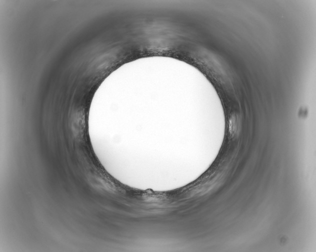 X0000093621299200711121226