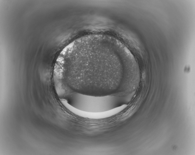 X0000093621300200711121226