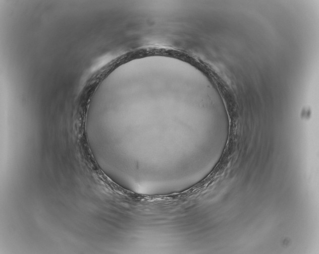 X0000093621303200711121226