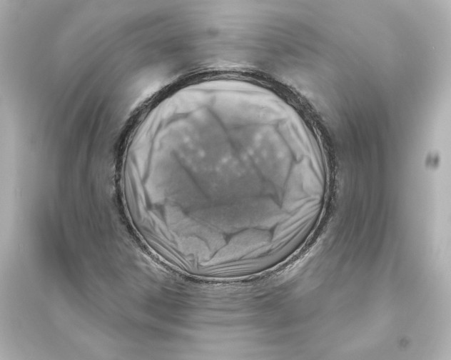 X0000093621306200711121226