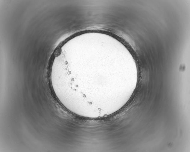 X0000093621308200711121226