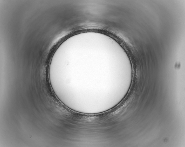 X0000093621309200711121226