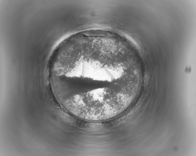 X0000093621310200711121226