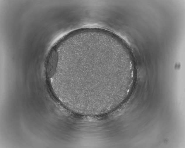 X0000093621311200711121226