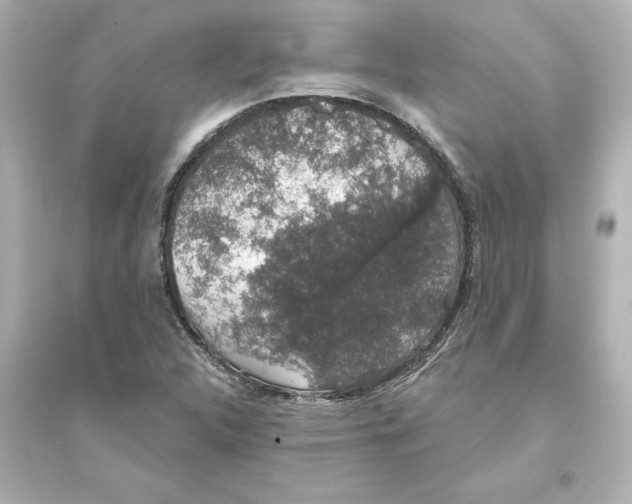 X0000093621312200711121226