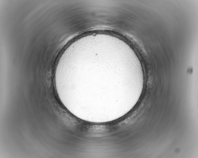 X0000093621313200711121226