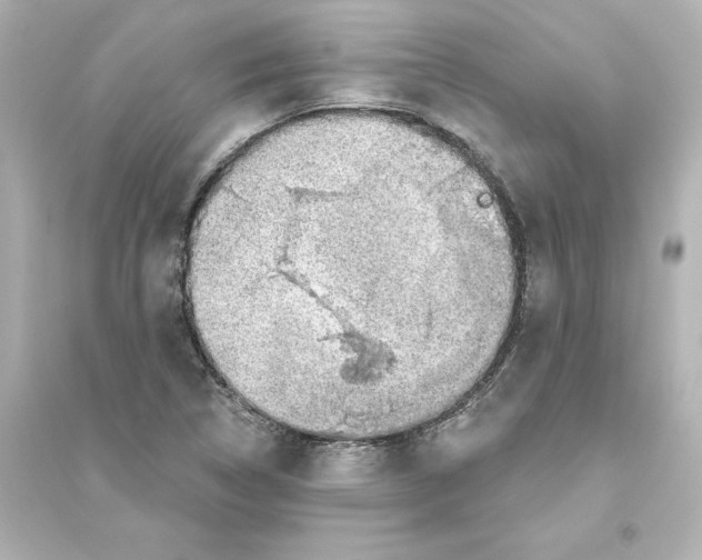 X0000093621314200711121226