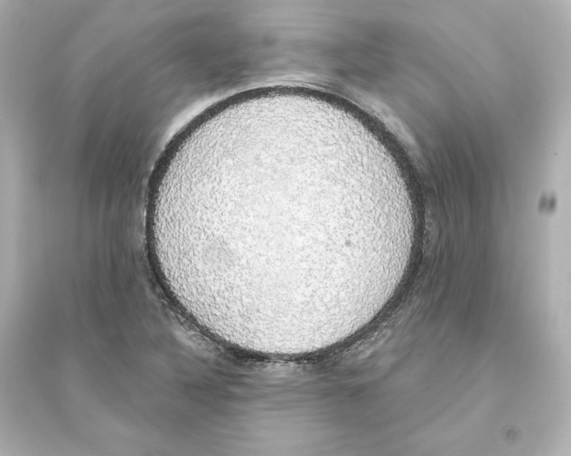 X0000093621316200711121226